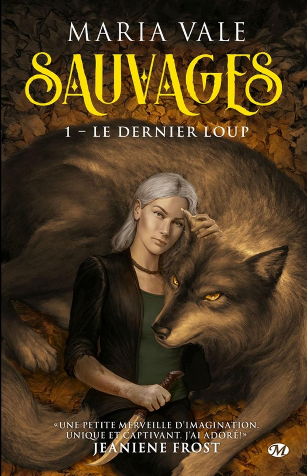 Big bigCover of Le Dernier loup