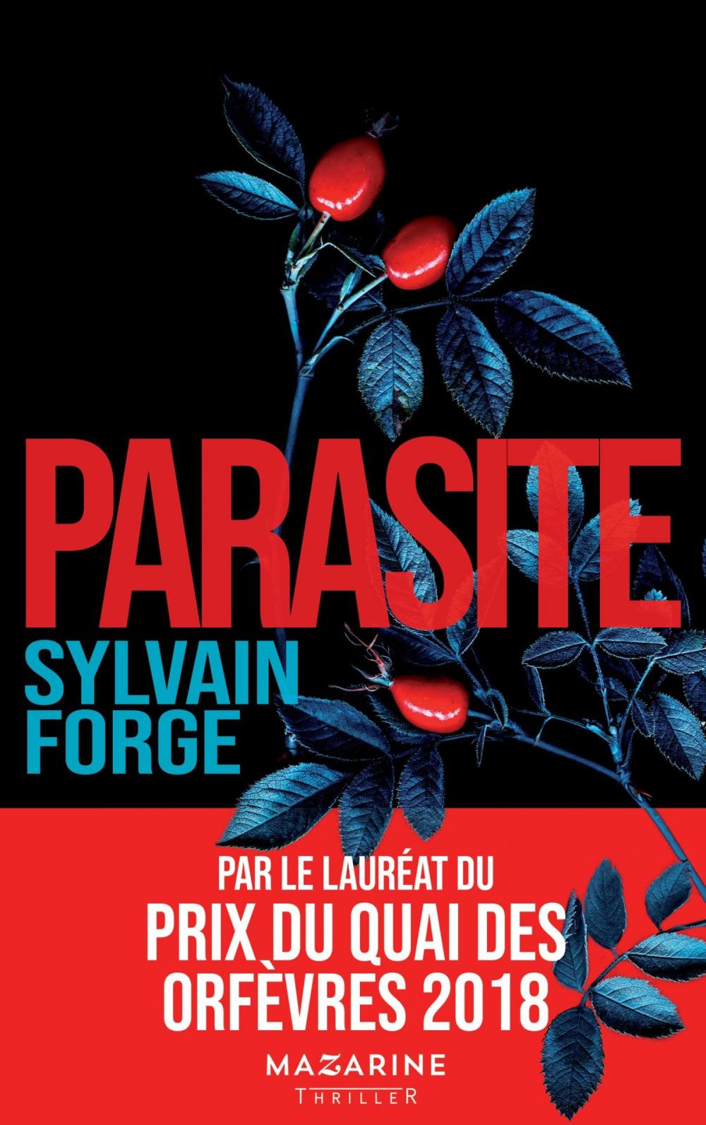 Big bigCover of Parasite