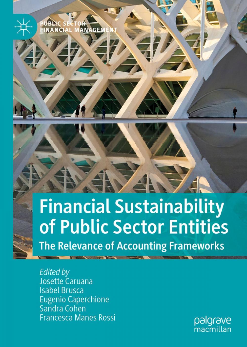 Big bigCover of Financial Sustainability of Public Sector Entities