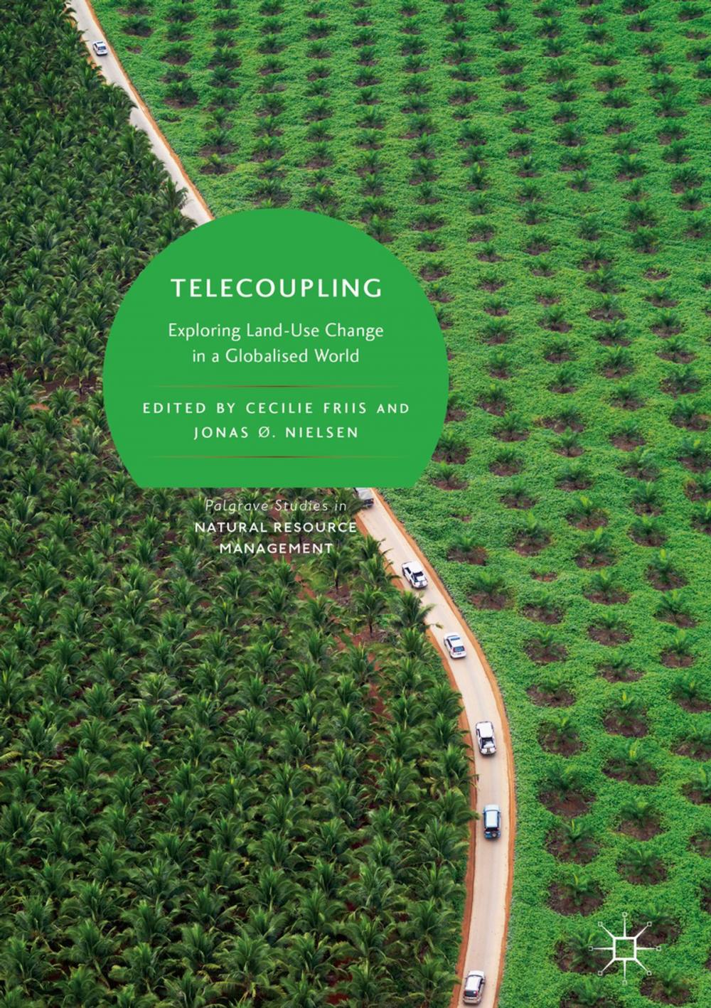 Big bigCover of Telecoupling