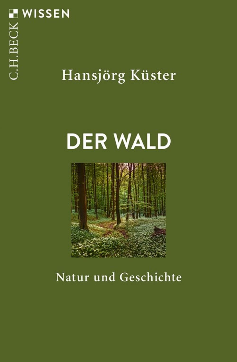 Big bigCover of Der Wald