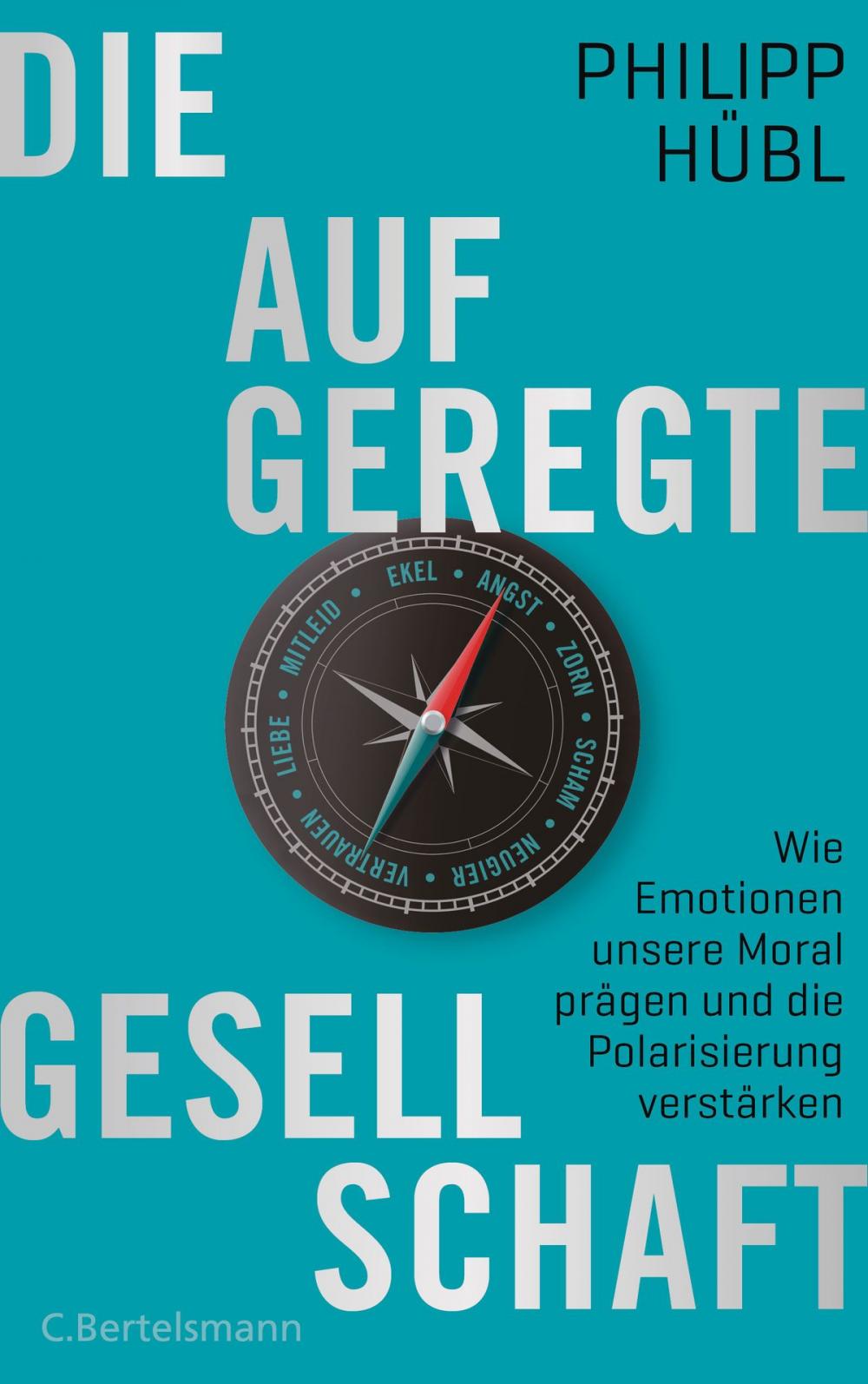 Big bigCover of Die aufgeregte Gesellschaft