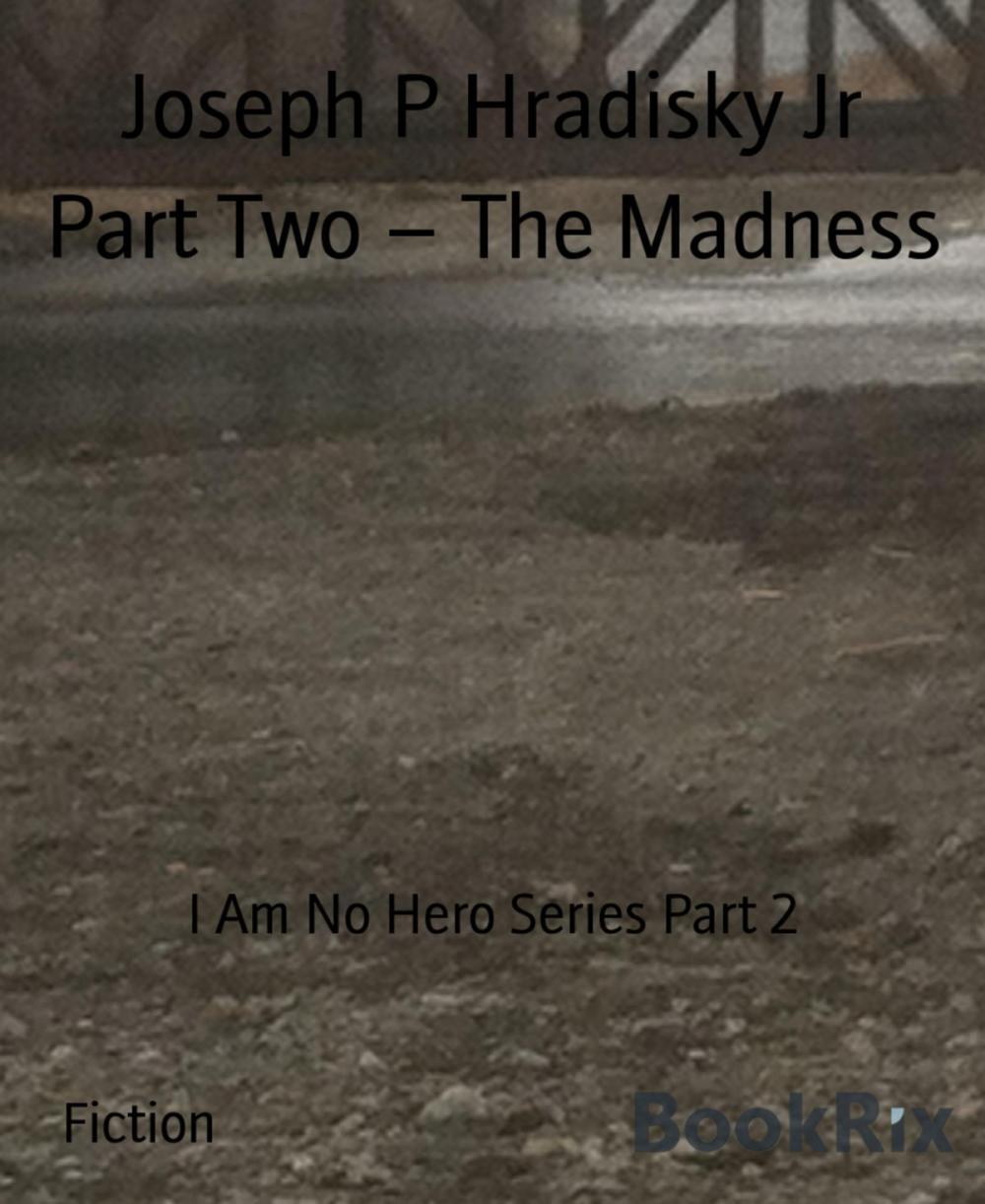 Big bigCover of Part Two – The Madness
