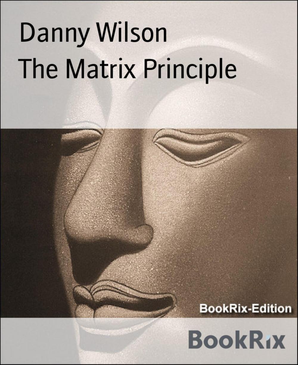 Big bigCover of The Matrix Principle