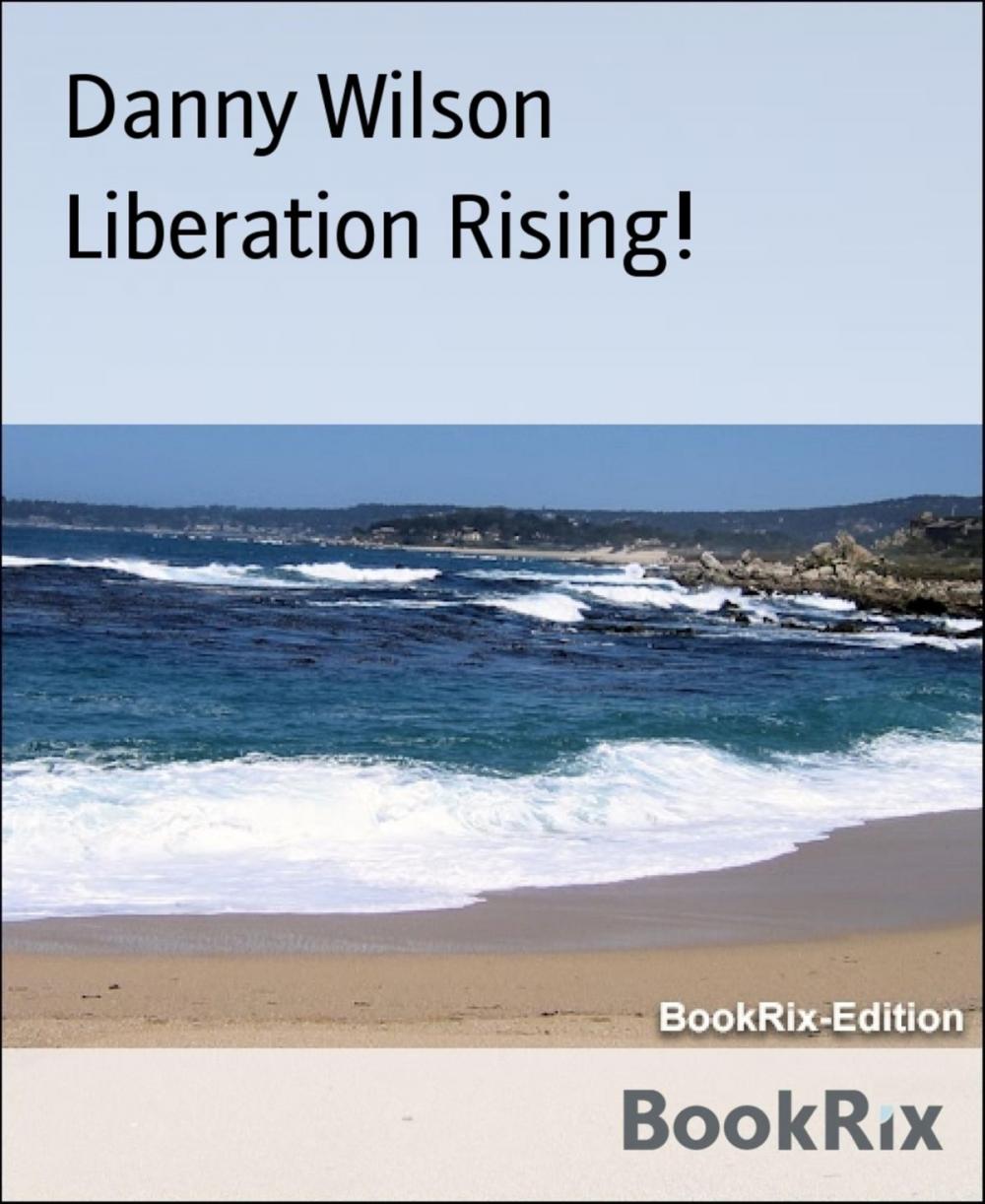 Big bigCover of Liberation Rising!