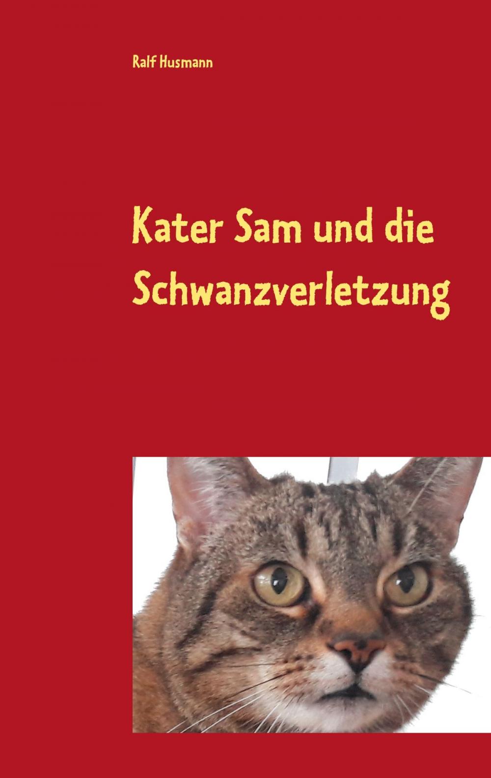 Big bigCover of Kater Sam und die Schwanzverletzung