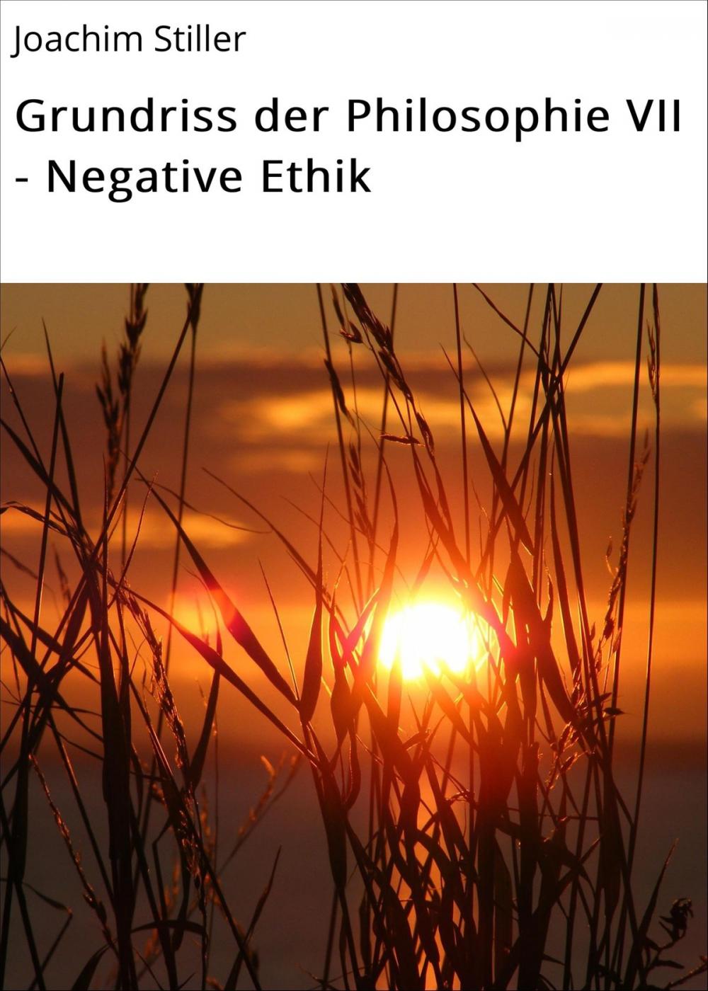 Big bigCover of Grundriss der Philosophie VII - Negative Ethik