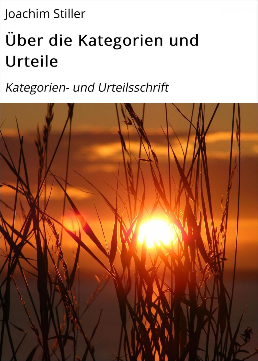 Big bigCover of Über die Kategorien und Urteile