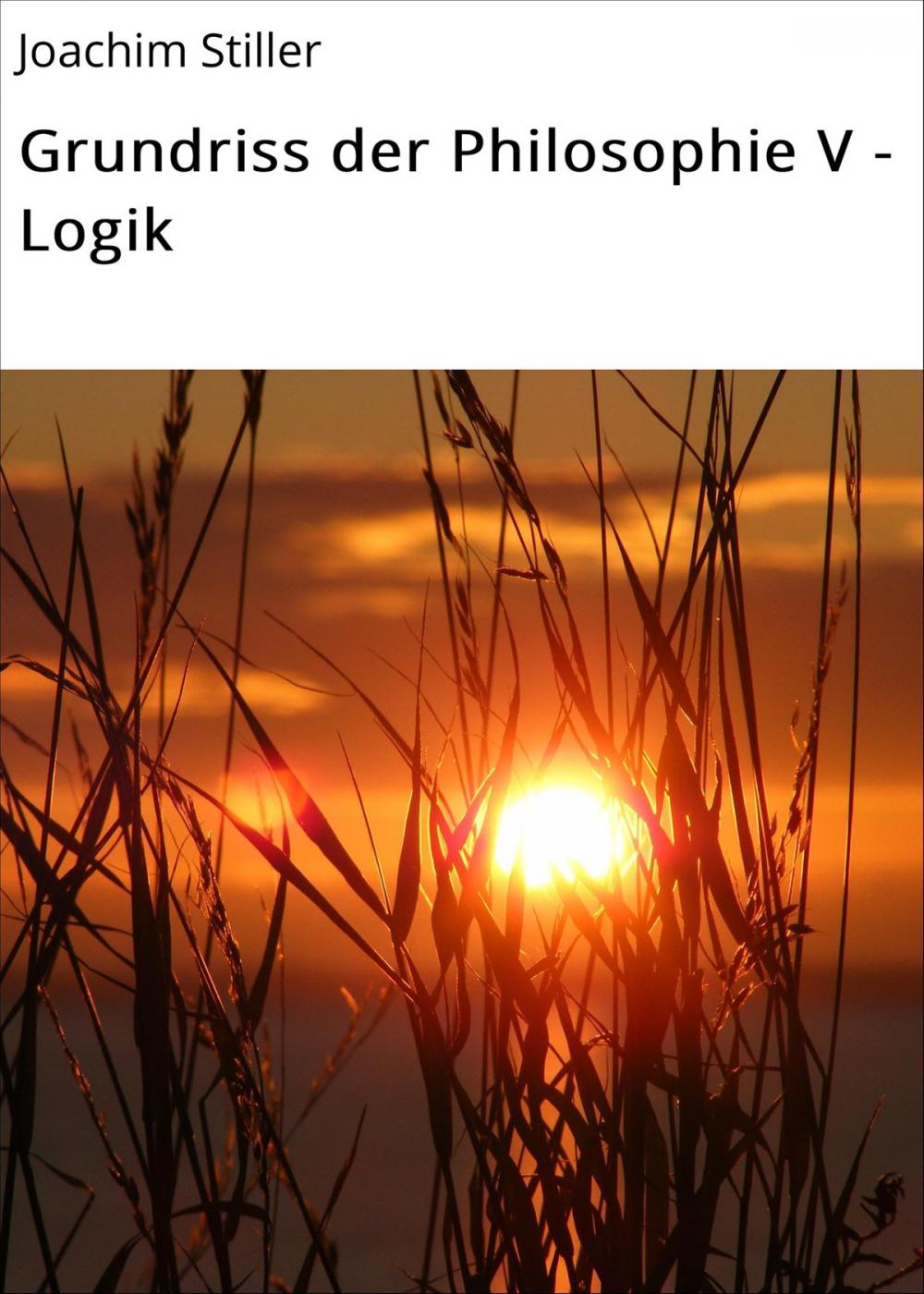 Big bigCover of Grundriss der Philosophie V - Logik