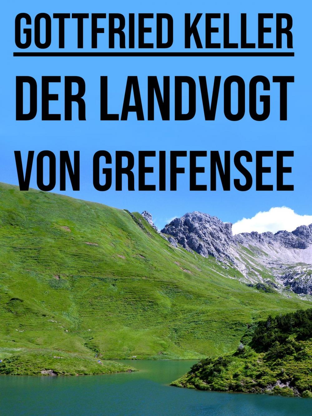 Big bigCover of Der Landvogt von Greifensee