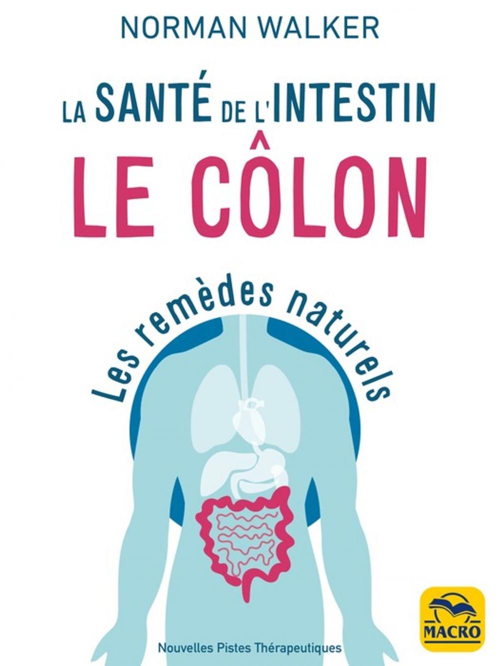 Big bigCover of Santé de l'intestin - le côlon