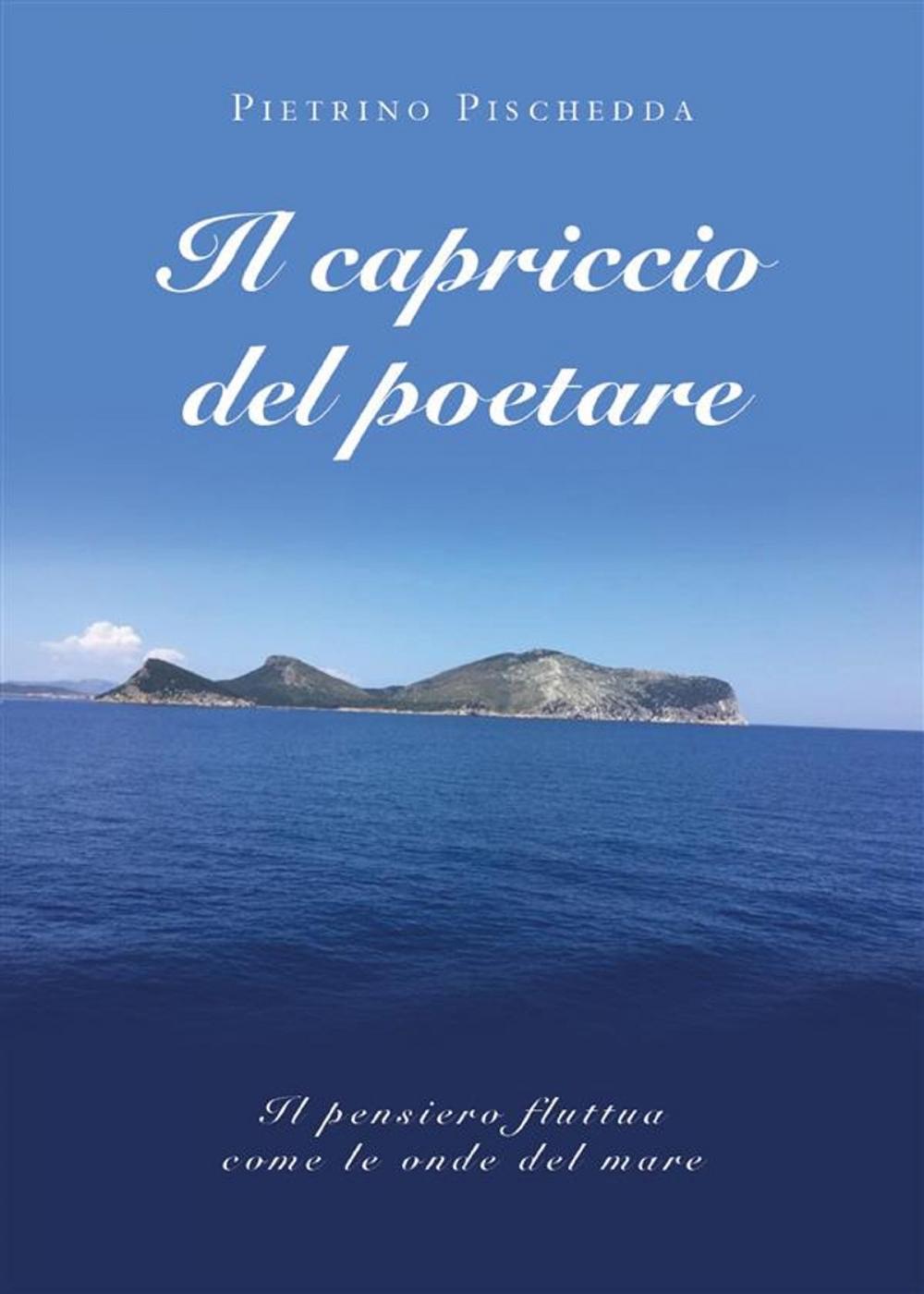 Big bigCover of Il capriccio del poetare