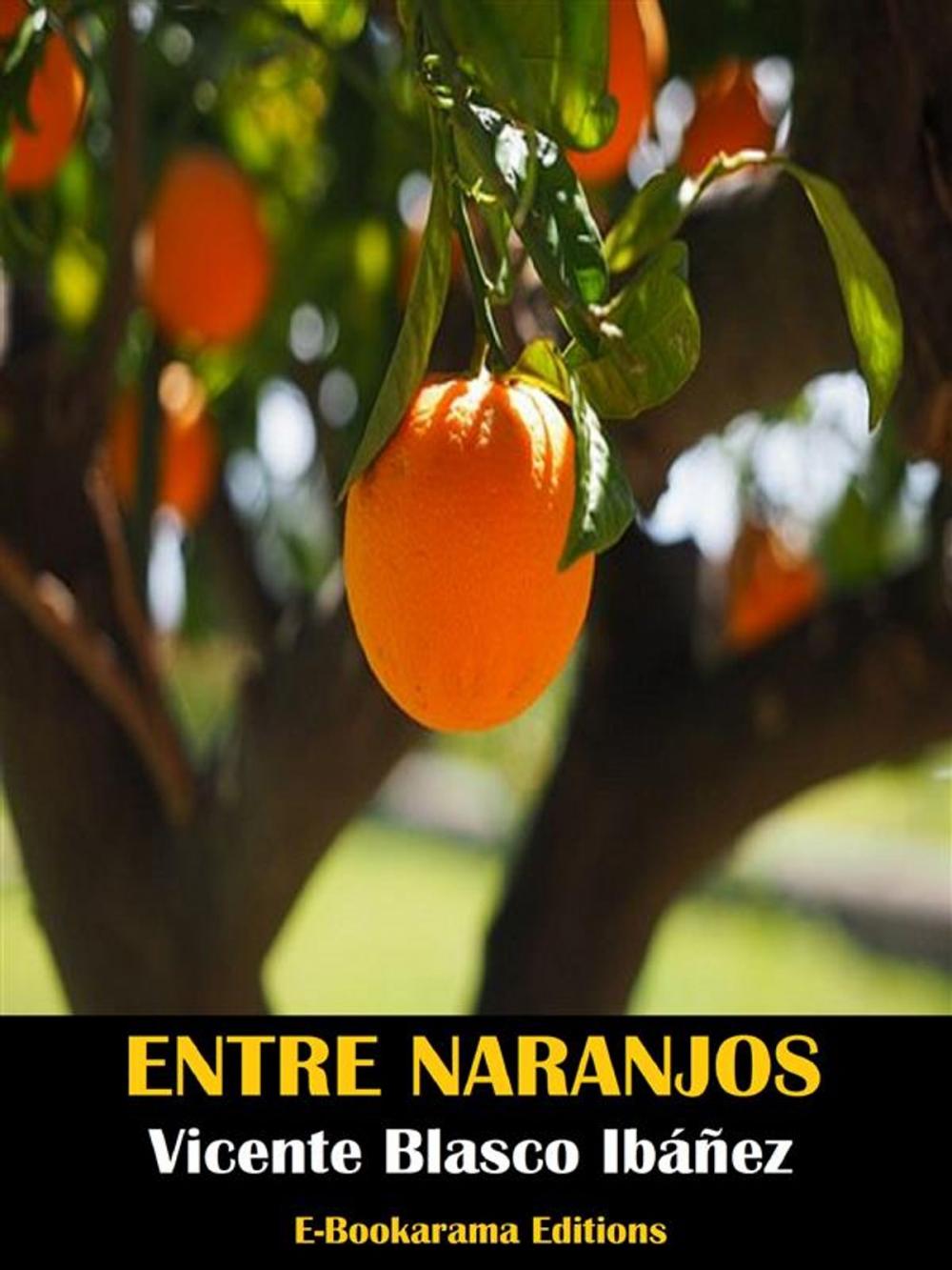 Big bigCover of Entre naranjos