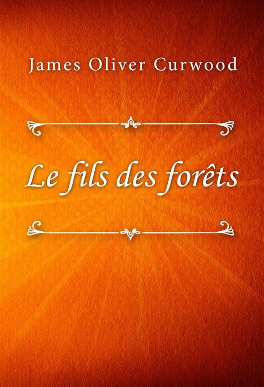 Big bigCover of Le fils des forêts