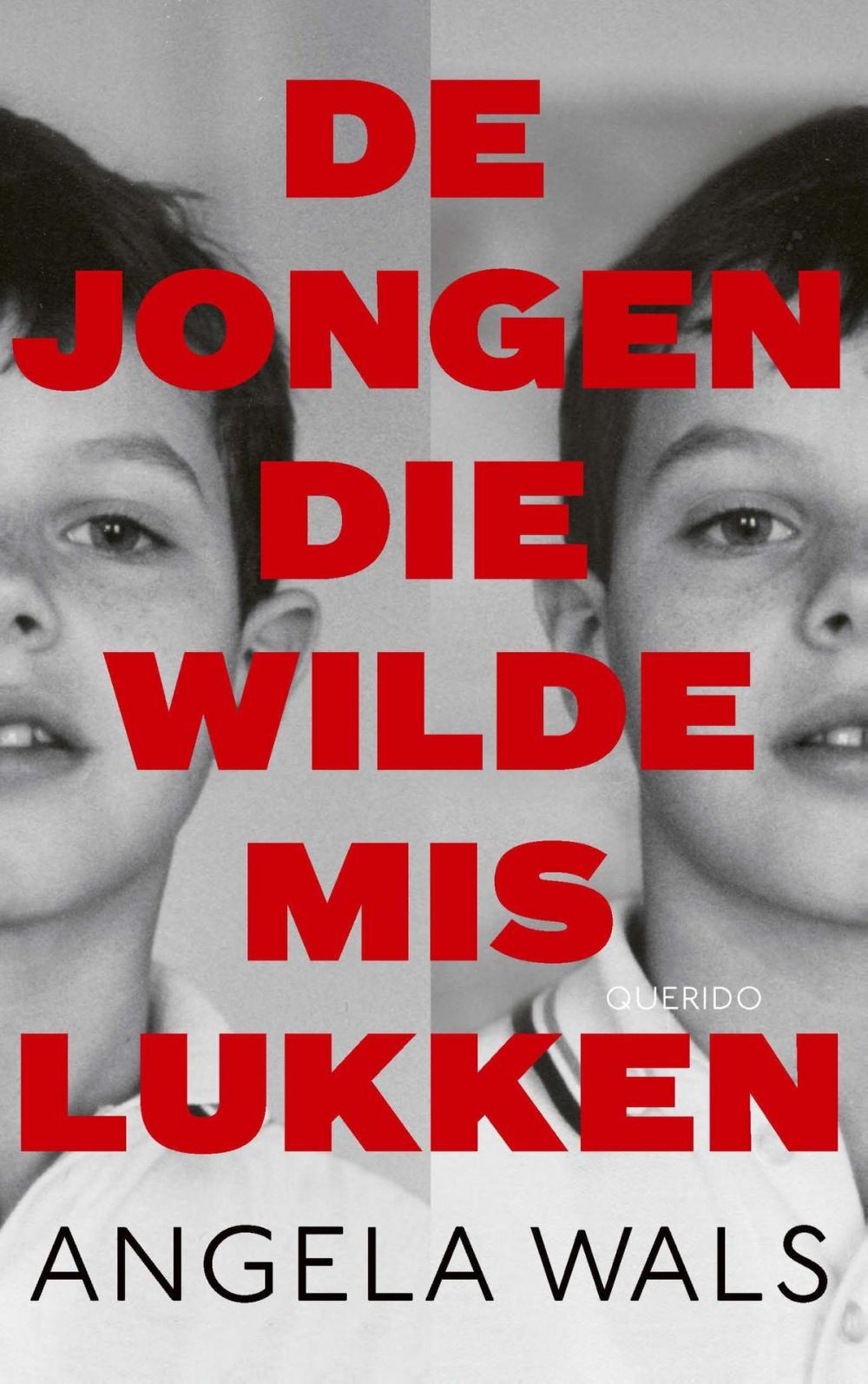 Big bigCover of De jongen die wilde mislukken