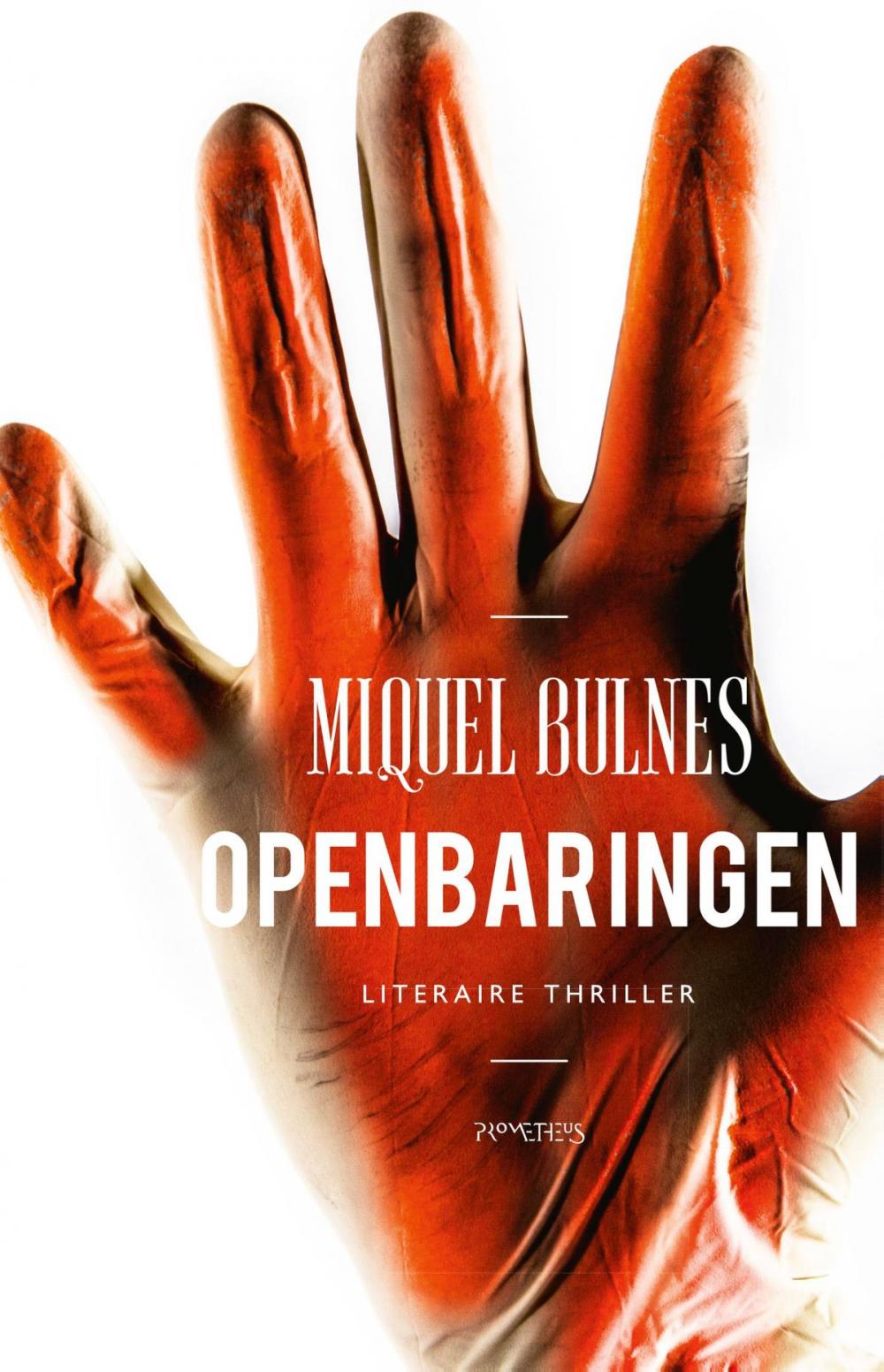 Big bigCover of Openbaringen