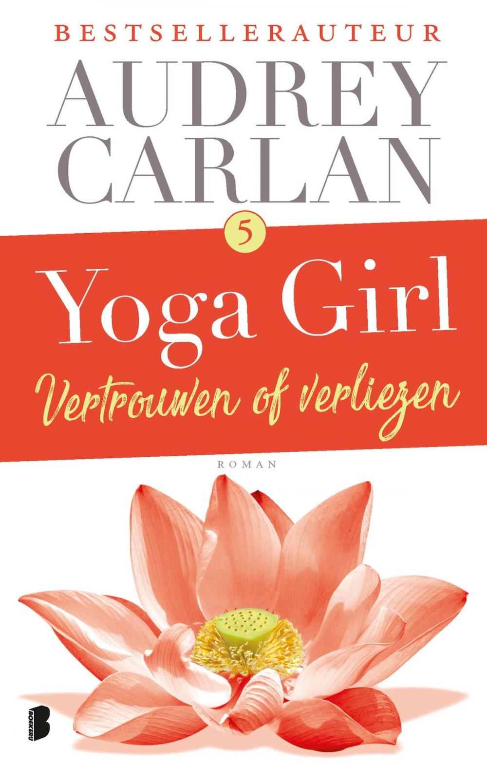 Big bigCover of Vertrouwen of verliezen