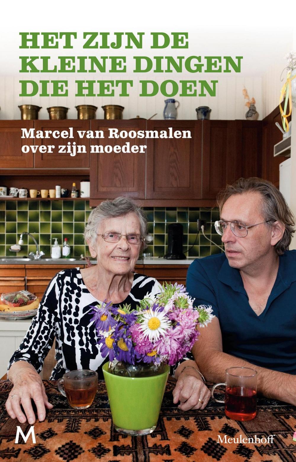 Big bigCover of Het zijn de kleine dingen die het doen