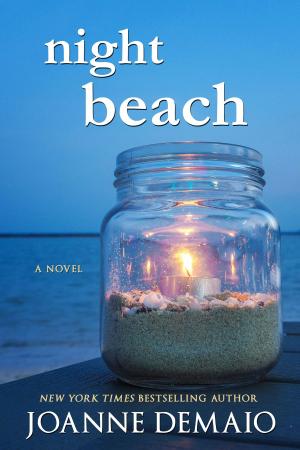 Cover of the book Night Beach by Olivia M. Hamilton