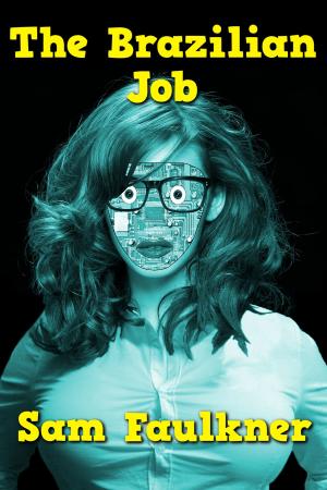Book cover of The Brazilian Job