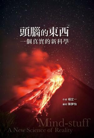 bigCover of the book 頭腦的東西：一個真實的新科學 by 