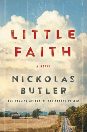 Cover of the book Little Faith by Peter Stark