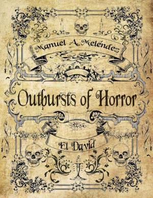 Cover of the book Outbursts of Horror by Chris Morningforest, Rebecca Raymond