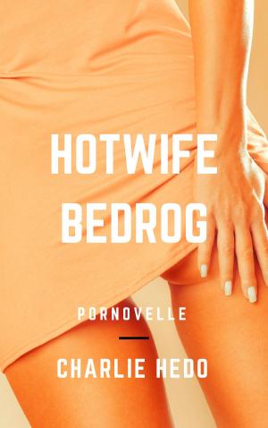 Cover of the book Hotwife Bedrog by Sylvia Dubois