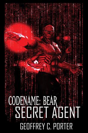 Cover of the book Codename: Bear: Secret Agent by Cheri Gillard
