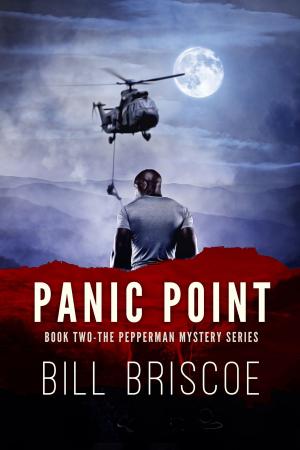bigCover of the book Panic Point by 