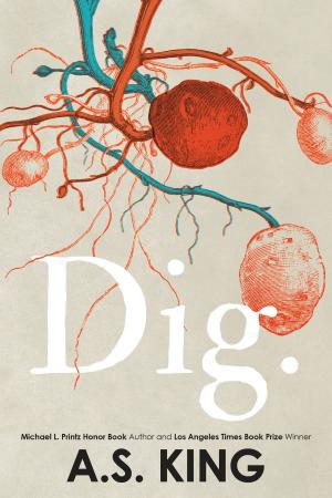 Cover of the book Dig by Martin Stewart