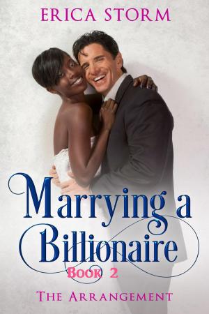 Cover of the book Marrying a Billionaire by Erica Storm