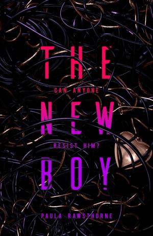 Cover of the book THE NEW BOY by Jeanette Winterson