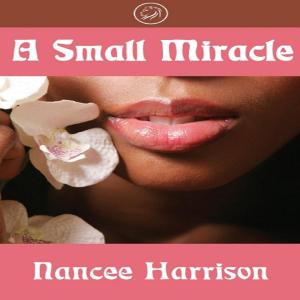 Cover of the book A Small Miracle by Tyson Anthony
