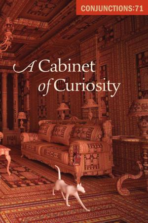 Cover of the book A Cabinet of Curiosity by Patrick Gabridge