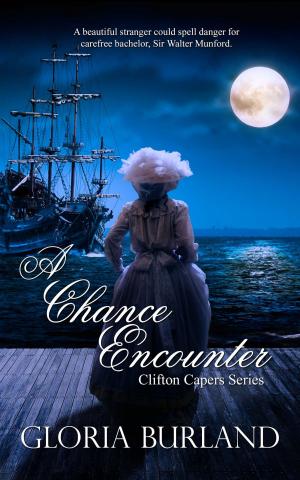 Cover of the book A Chance Encounter by Darlene  Fredette