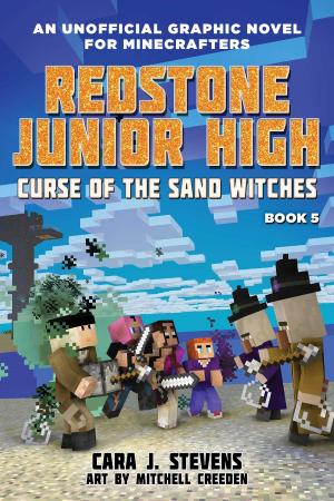Book cover of Curse of the Sand Witches