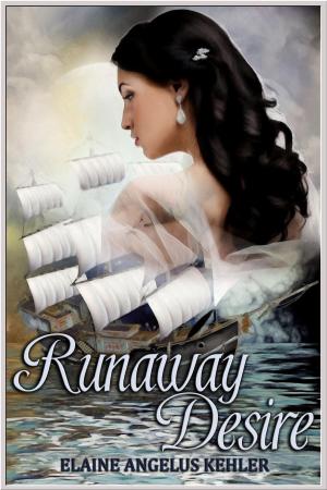 Cover of the book Runaway Desire by D. Allen Henry