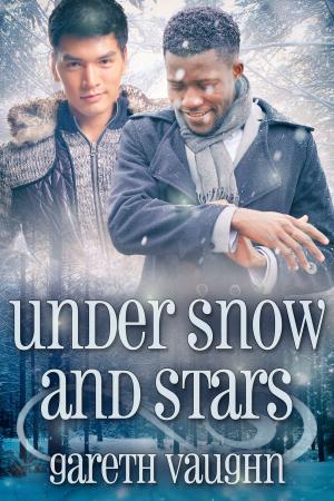 Cover of the book Under Snow and Stars by Folarin Esan