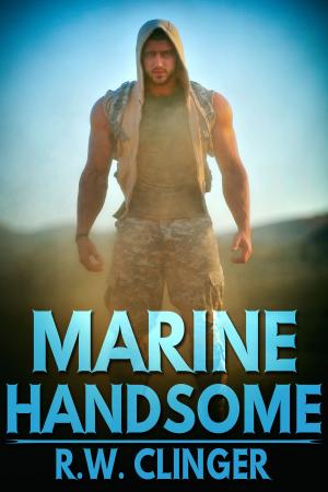bigCover of the book Marine Handsome by 
