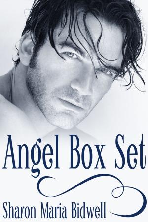 Cover of the book Angel Box Set by A.R. Moler
