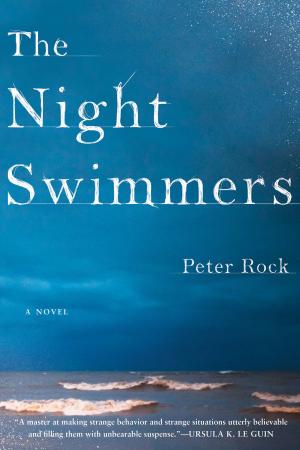 Cover of the book The Night Swimmers by Brandon Hobson