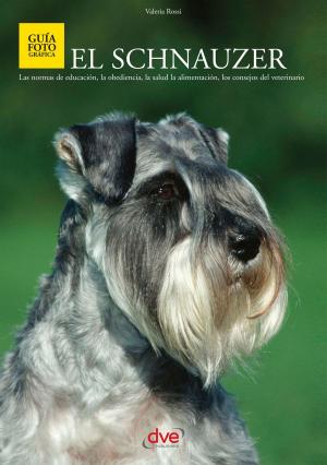 Book cover of El Schnauzer
