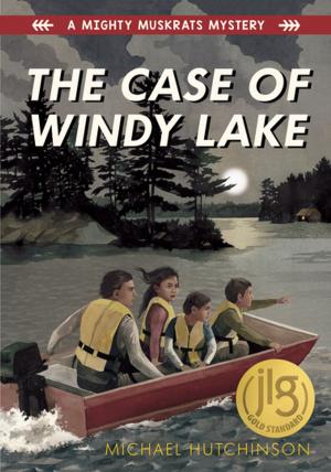 Cover of the book The Case of Windy Lake by Debbie Spring