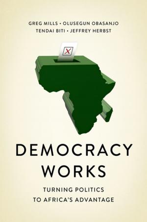 Cover of the book Democracy Works by Andrew Walker