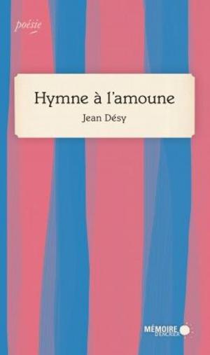Cover of the book Hymne à l'amoune by Sébastien Doubinsky