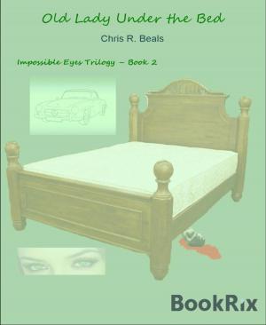 Cover of the book Old Lady Under the Bed by Claas van Zandt
