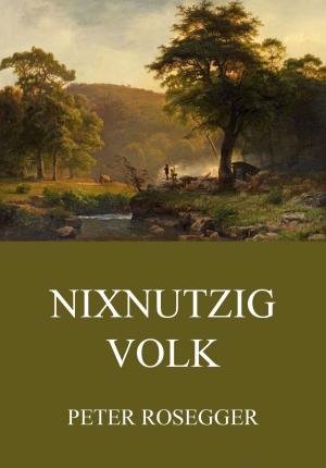 Cover of the book Nixnutzig Volk by Rainer Maria Rilke