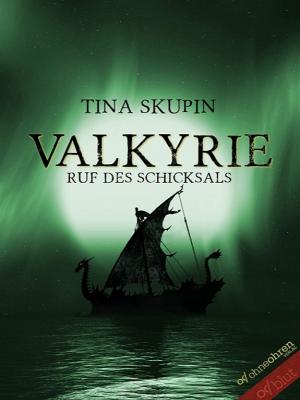 Cover of the book Valkyrie (Band 2) by Dan Chabot