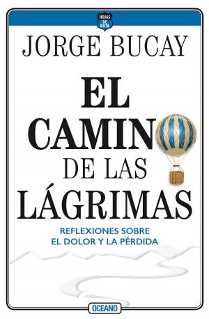 Cover of the book El camino de las lágrimas by Gisela Méndez